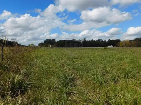 Terreno en Venta de 1777,0 m2