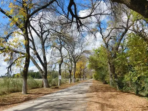 Venta. Lote 1700m2. El Remanso. Exaltacion de la Cruz