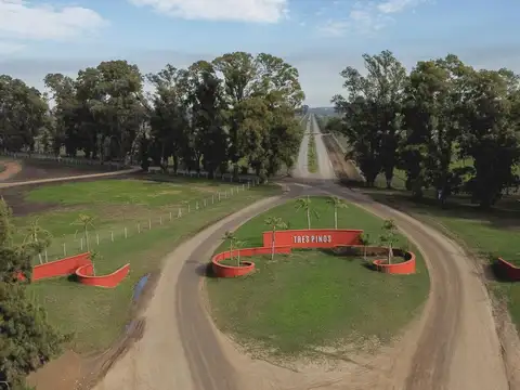 Terreno en Barrio El Golf, Tres Pinos Villa de Campo