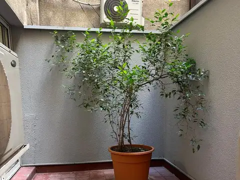 Peatonal Sarmiento  75