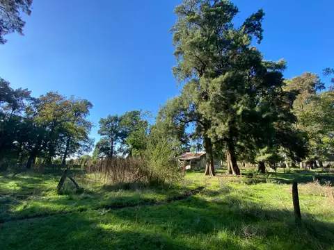 Campo de 52,6 has en venta cercano a plomer - Gral Las Heras