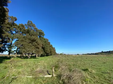 Campo de 52,6 has en venta cercano a plomer - Gral Las Heras