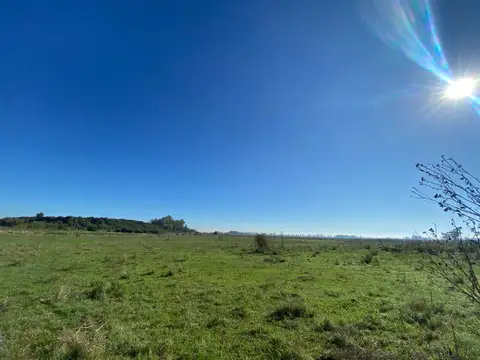 Campo de 52,6 has en venta cercano a plomer - Gral Las Heras
