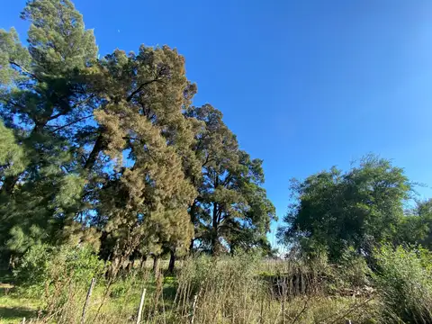 Campo de 52,6 has en venta cercano a plomer - Gral Las Heras