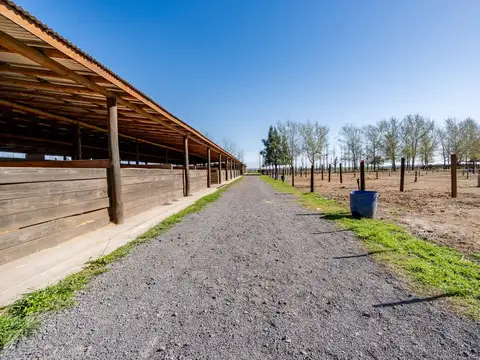 Terreno en Venta 34  mts Fondo