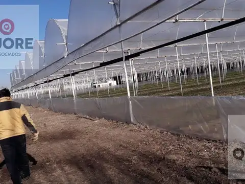 Chacra, OPORTUNIDAD ÚNICA Emprendimiento  productivo comercial