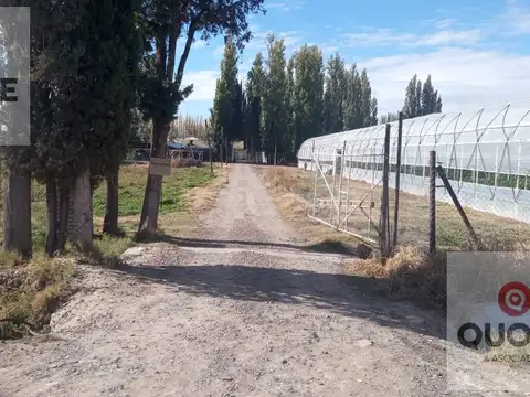 Chacra, OPORTUNIDAD ÚNICA Emprendimiento  productivo comercial