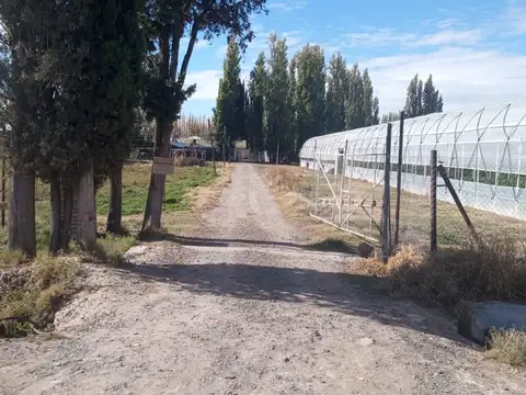 Chacra, OPORTUNIDAD ÚNICA Emprendimiento  productivo comercial