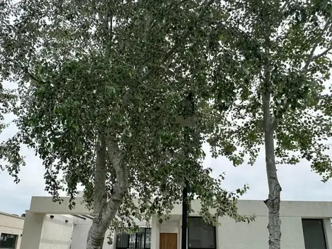 Haras Del Sur 3 Robles