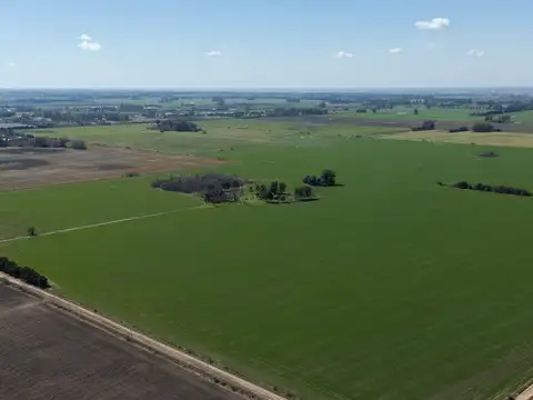 VENTA CAMPO Y CASA 120 HA 100% AGRICOLAS ZONA I 1 