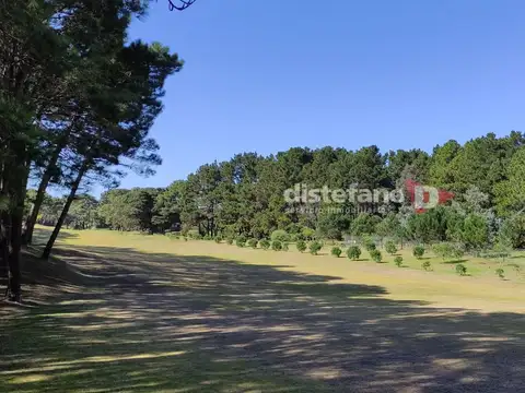 Terreno - Venta - Argentina, Pinamar