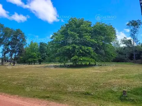 Terreno en Venta en Punta Ballena, USD 56.000