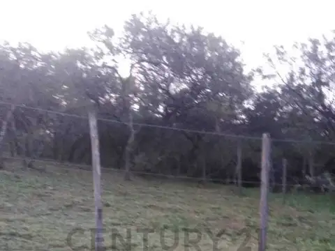 lote 7 de la manzana 151 , Piso 0