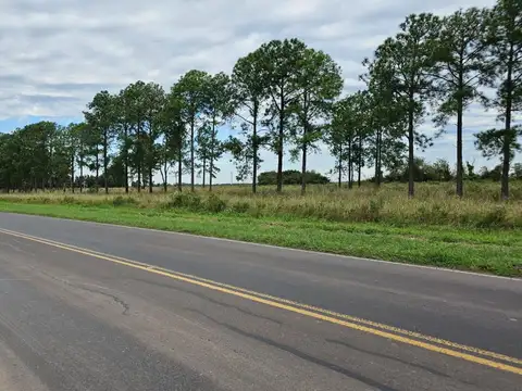 Ruta Provincial 31