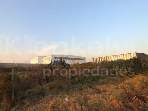 OPORTUNIDAD VENTA GALPONES NORDELTA NAVES INDUSTRIALES