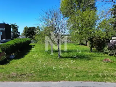 Terreno en Venta de 800,0 m2