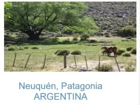 Campo en Venta en Neuquen, Confluencia