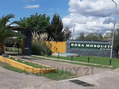 Godofredo Paladini 1800, Piso 0