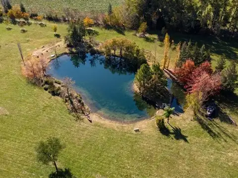 Posada Rural en campo de 32 ha. de naturaleza a 14 km. de Capilla del Señor
