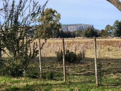VENTA CAMPO 8ha  establecimiento POZO AGUA, MINAS