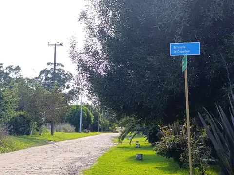 VENTA LOTE SANTA CELINA 600 M2