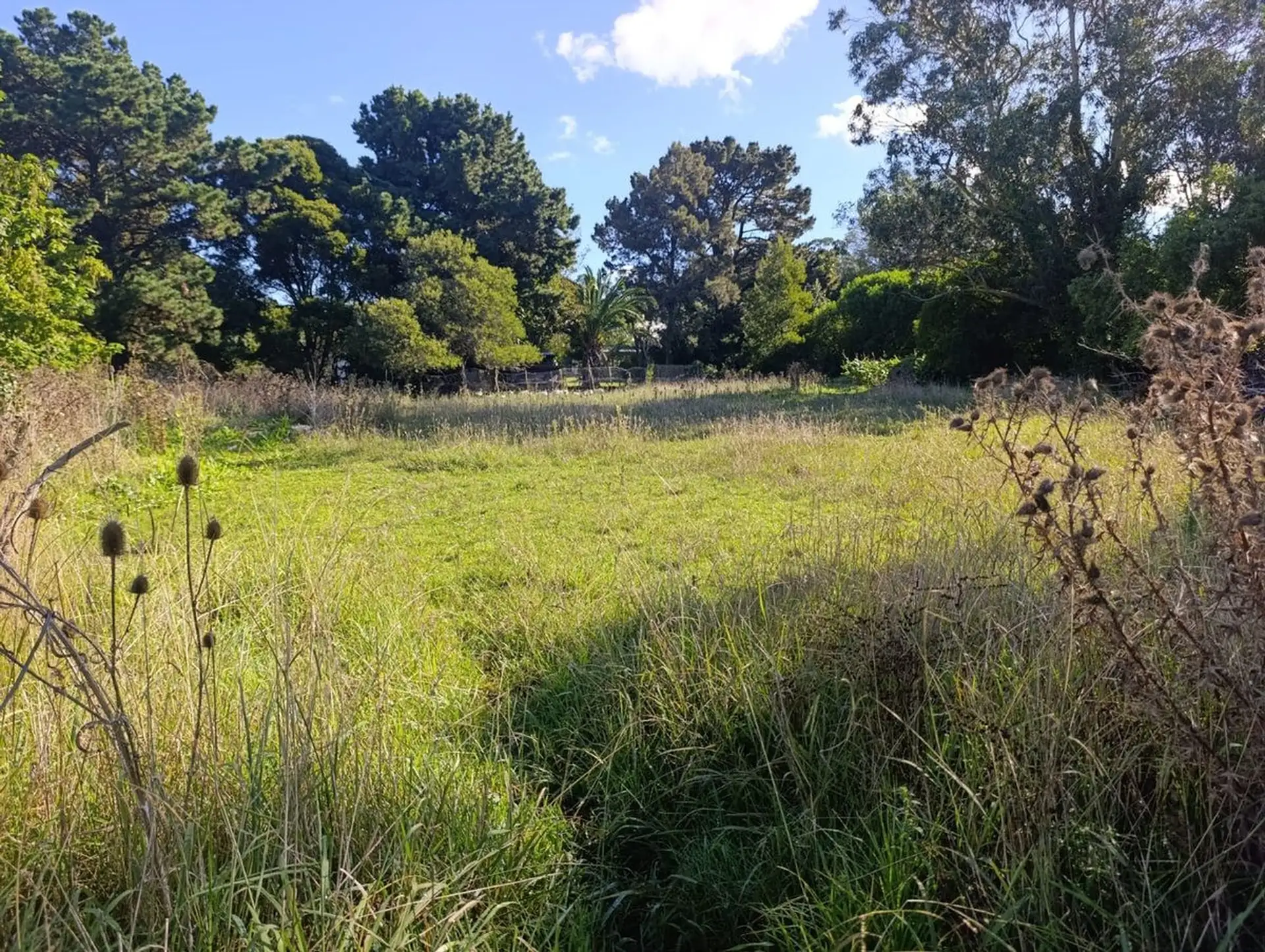 VENTA LOTE SANTA CELINA 600 M2