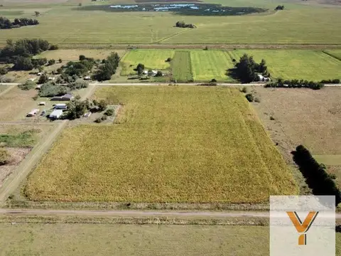 Campo en Venta en Los Pinos, Partido de Balcarce