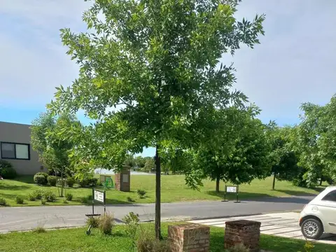 El Cantón