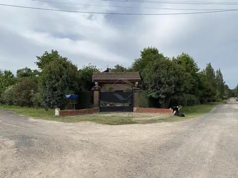 Obligado 300