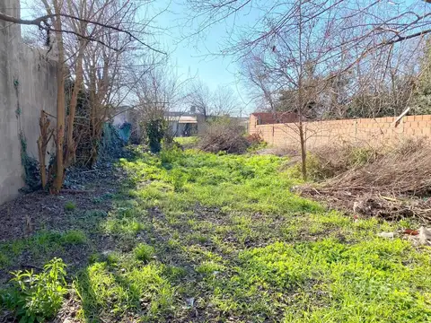 General Conesa al 1500