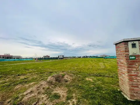 Calle El Deslinde 1100