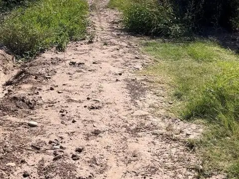 Venta de finca Russell 5000 mts. Producción Olivos