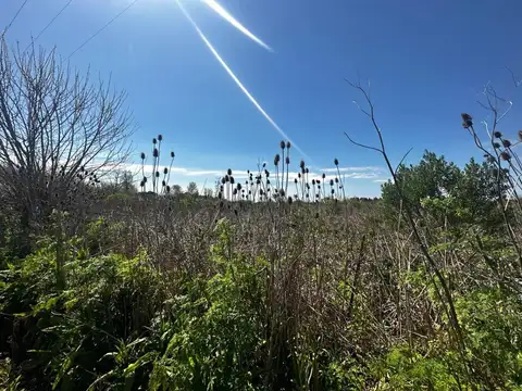 CAMPO EN VENTA EXALTACION DE LA CRUZ  5HECTAREAS