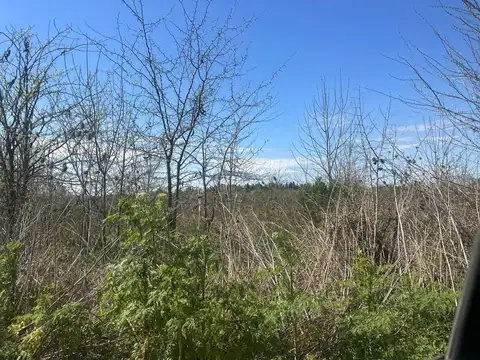 CAMPO EN VENTA EXALTACION DE LA CRUZ  5HECTAREAS