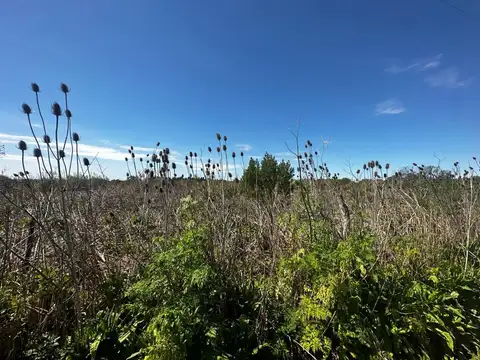 El Remanso