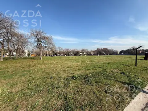 Terreno en Venta 29  mts Fondo