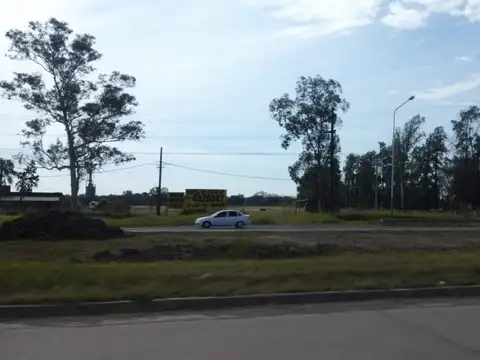 Terreno en Venta de 228164,0 m2