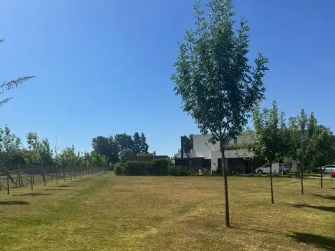 Terreno en Venta de 508,0 m2