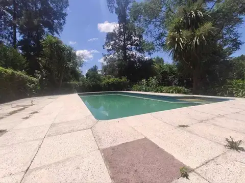 Doctor Pedro Arata 2200