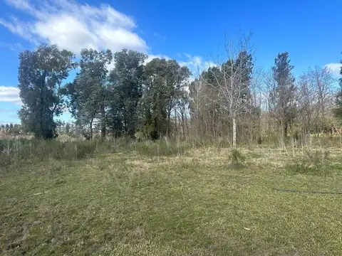 CAMPO 5 HECTAREAS CON CASA  5 AMB FACIL ACCESO A RUTA PAVON