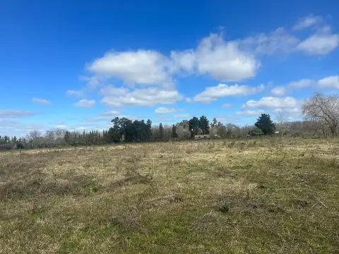 CAMPO 5 HECTAREAS CON CASA  5 AMB FACIL ACCESO A RUTA PAVON