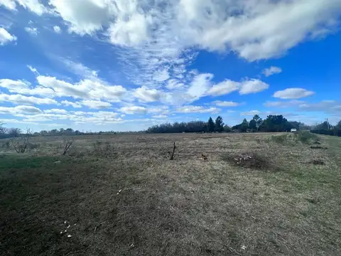 CAMPO 5 HECTAREAS CON CASA  5 AMB FACIL ACCESO A RUTA PAVON