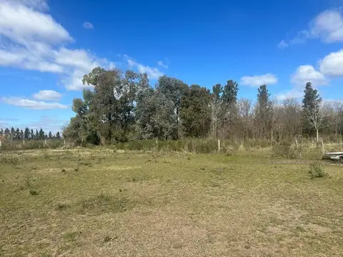 Campo en Venta Chacra