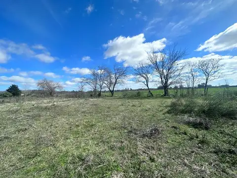 CAMPO 5 HECTAREAS CON CASA  5 AMB FACIL ACCESO A RUTA PAVON