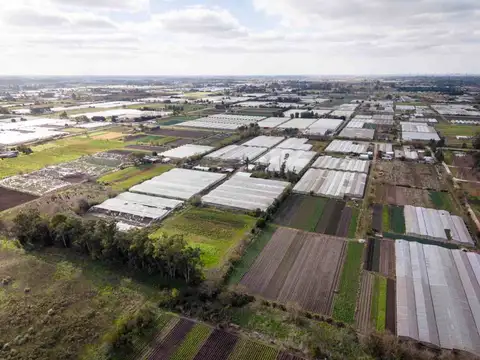 Campo en Venta en Abasto, Partido de La Plata