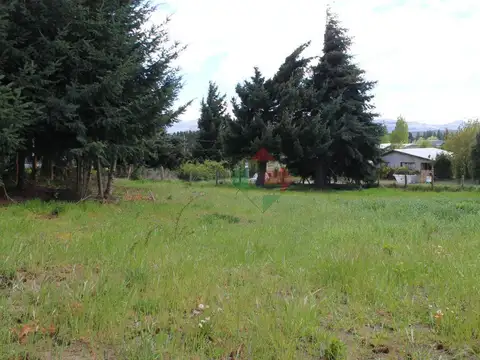 Los Colibrís