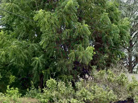 Lote en VENTA, Villa Elisa