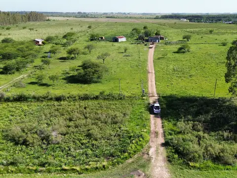 Vendo Campo 20 Has en Ruta 39 Concepción del Uruguay Entre Ríos