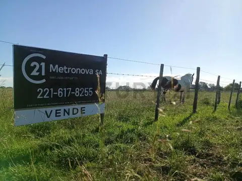 Lote en Venta en Magdalena 7.459 m2 CAMPO