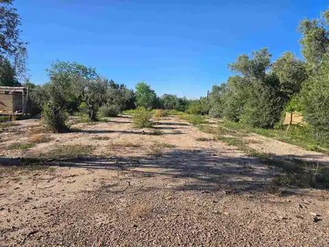 LOTE / TERRENO - COQUIMBITO - BODEGAS - TURISMO